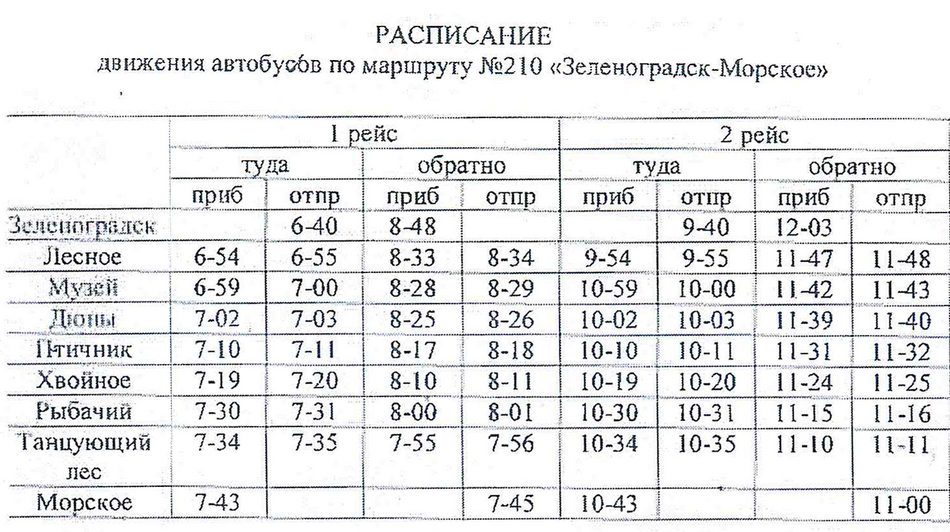 Автобус 593 калининград куршская коса расписание. 210 Автобус Зеленоградск. 210 Автобус Зеленоградск расписание. Зеленоградск автобус 210 маршрут. Расписание автобусов Зеленоградск Куршская коса.