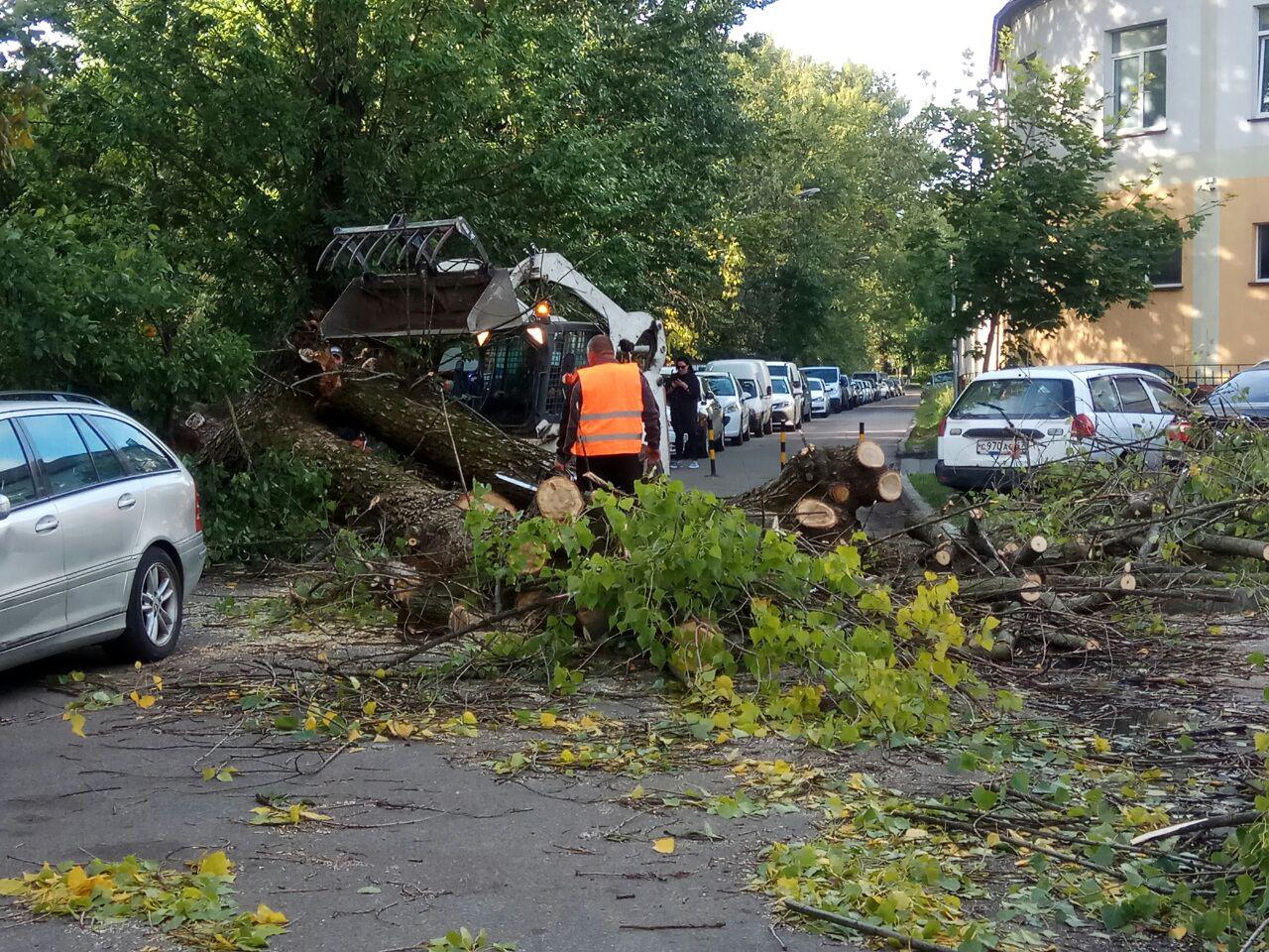 Клопс калининград последние новости. Клопс Калининград происшествие. Клопс происшествия Черняховск. Клопс Калининград происшествие в Калининградской.